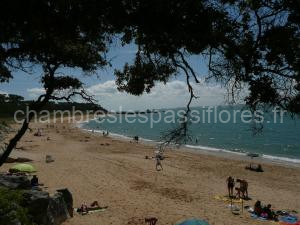 Studio Dunes aux Ecureuils à Saint-Palais-sur-Mer
