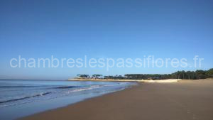 Camping Le Repos à Saint-Palais-sur-Mer